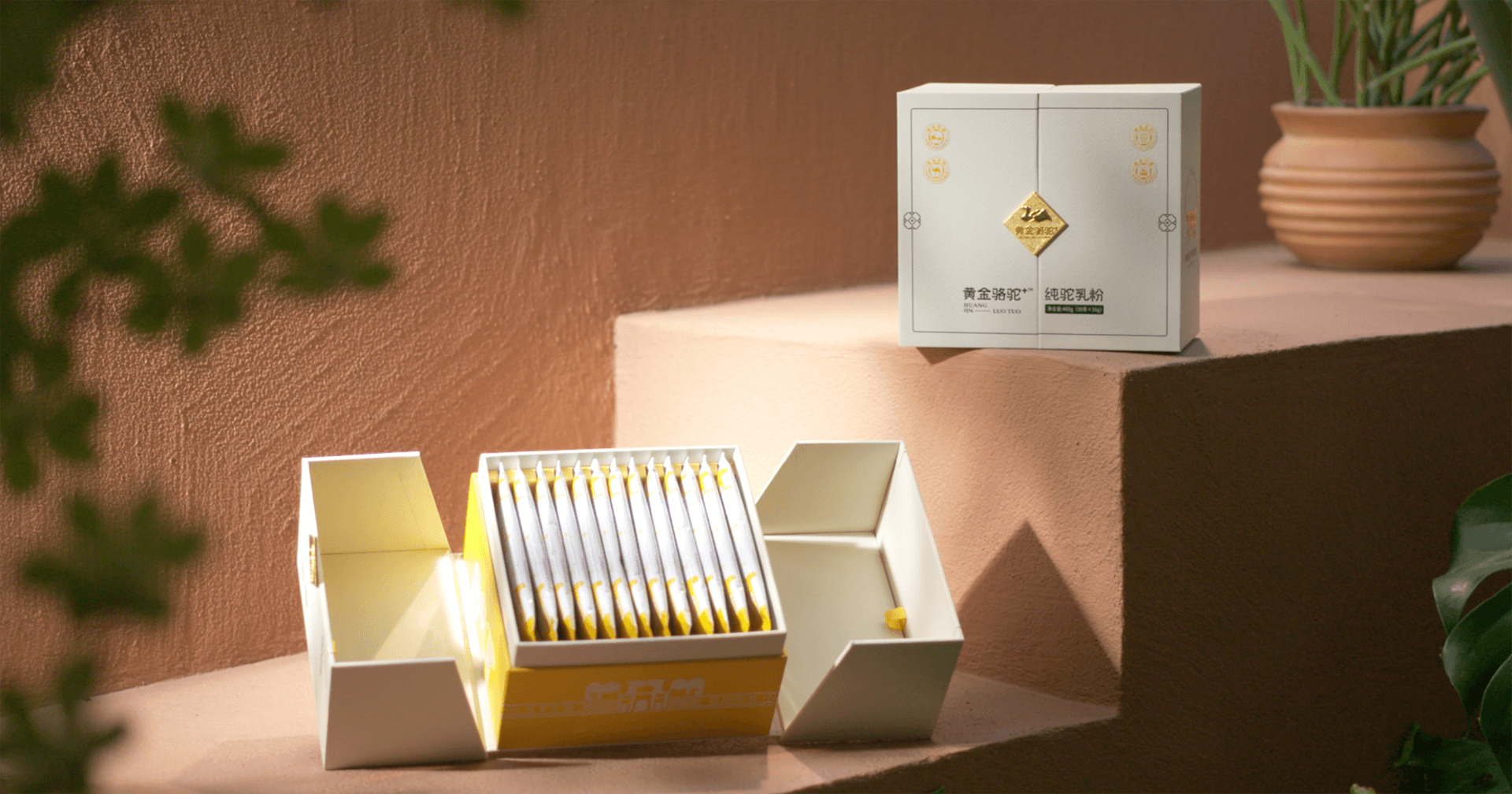 定位小众高端乳粉，尊龙凯时人生就搏推出驼奶品牌“黄金骆驼+”，角逐乳品新市场！